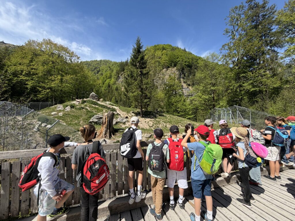 Schüler:innen im Cumberlandpark